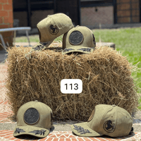 113