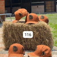 116