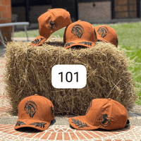 101